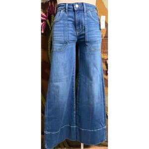 Anthropologie Pilcro Rylan Flare Jeans 25P